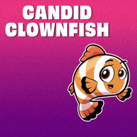 Fish Speak GIF by VeeFriends