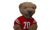 cornell university touchdown Sticker