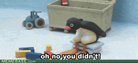 head penguin GIF