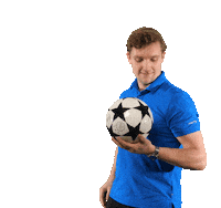 Football Ball Sticker by Voetencentrum Wender