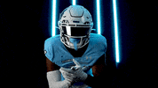 Old Dominion Sport GIF by ODU Football