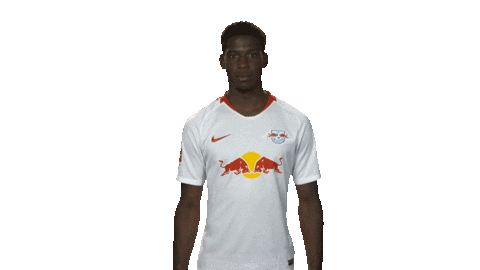 rb leipzig Sticker by Bundesliga