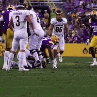 Lsu Football Win GIF by LSU Tigers
