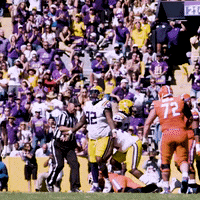 Death Valley Win GIF by LSU Tigers
