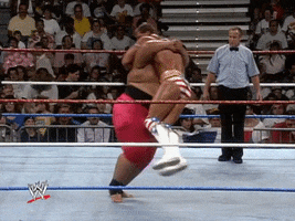 wwe sports wwe wrestling 1993 GIF