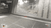 knife cod GIF