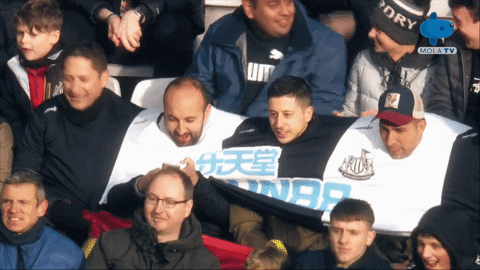 Celebration Love GIF by MolaTV