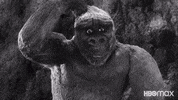 King Kong Idk GIF by HBO Max