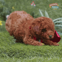 Lets Go GIF by Mittens & Pants