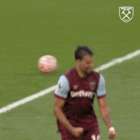 Premier League Football GIF by West Ham United