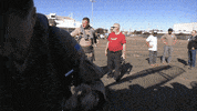 Working Lets Go GIF by NASA