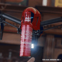 world cup soccer GIF by Budweiser