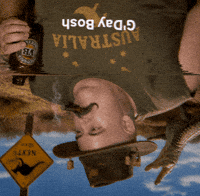 Oscar Bosh GIF