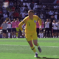 england england three lions threelions itscominghome GIF