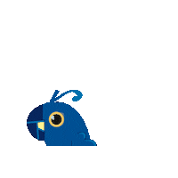 Festival Bird Sticker by ccdimpa