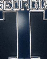 Georgia Tech Baseball GIF by Georgia Tech Yellow Jackets