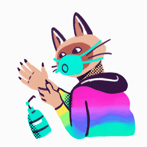 matanbenyehoshua giphyupload GIF