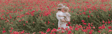 GIF by Cómpralo en Casa