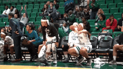 emueagles goeagles GIF by EMU Athletics