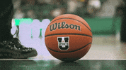 Game On Basketball GIF by University of Regina