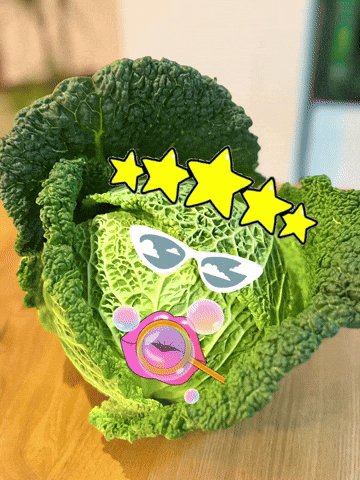 Cabbage Wirsing GIF