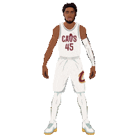 Nba Playoffs Basketball Sticker by Panini America