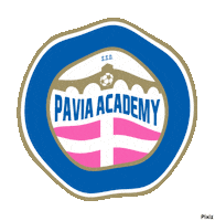 paviaacademyssd  Sticker
