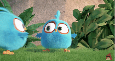 blues success GIF by Angry Birds