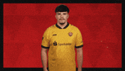 Dynamo Dresden Football GIF by Bundesliga