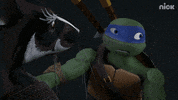 ninja turtles GIF by Teenage Mutant Ninja Turtles
