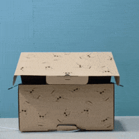 Box Opening Hello GIF by pollenrobotics