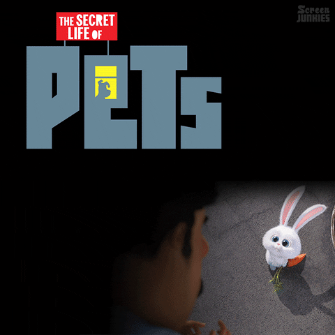 secret life of pets GIF by ScreenJunkies