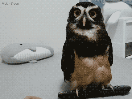 confused remote control GIF