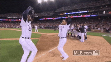 detroit tigers justin GIF by MLB