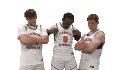 Cnmb Sticker by Carson-Newman Athletics