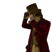 Party Hat Sticker by Warner Bros. Deutschland