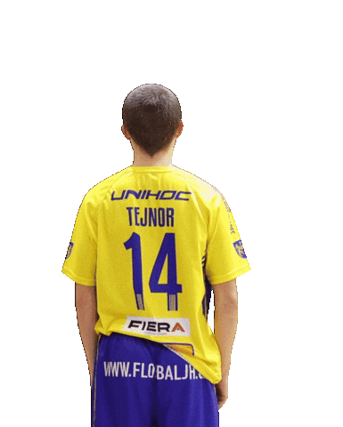 FLORBALJH giphyupload sports sport floorball Sticker