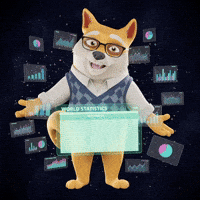 Happy Shiba Inu GIF by Doge Pound