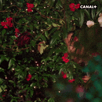 Jonathan Cohen Love GIF by CANAL+