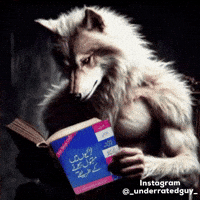 Baddie Novel GIF