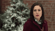 Father Christmas Love GIF by Hallmark Mystery