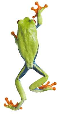 Freeworker arborist treework freeworker arboriculture Sticker