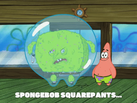 season 5 episode 3 GIF by SpongeBob SquarePants