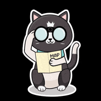 HalalSG cats meow approved halal GIF