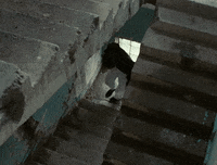 Music Video Landscape GIF by glaive