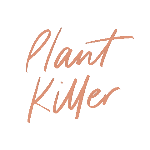 Lettering Plant Sticker