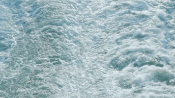 viceland GIF by Hate Thy Neighbor