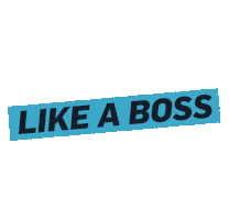 Like A Boss Sticker by E!