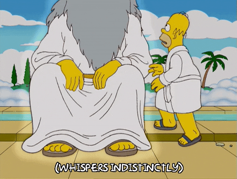 homer simpson GIF