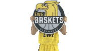 Ewe Baskets Basketball Sticker by EWE Baskets Oldenburg